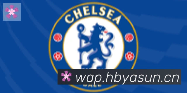 hth华体网页版登录入口合作伙伴