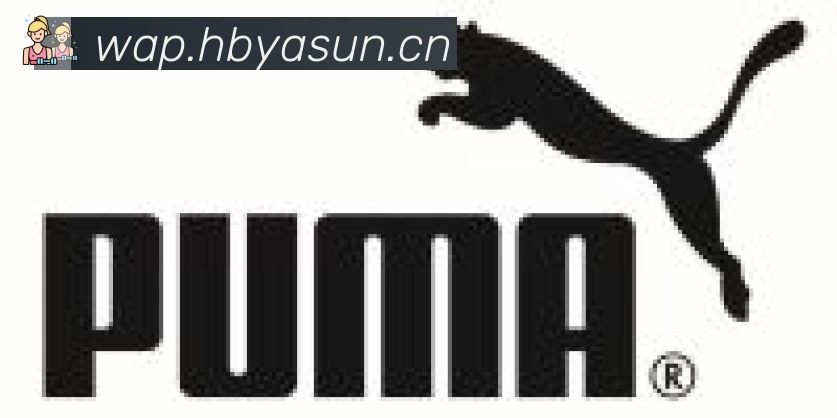 hth华体网页版登录入口合作伙伴